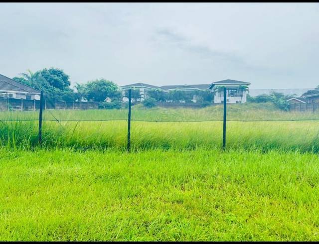 LAND FOR SALE IN BIRDSWOOD